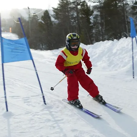 Kikut Fjellstue * Geilo