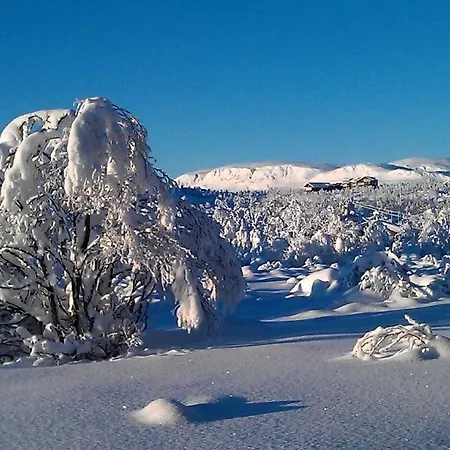Kikut Fjellstue *